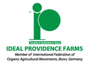 Ideal Providence